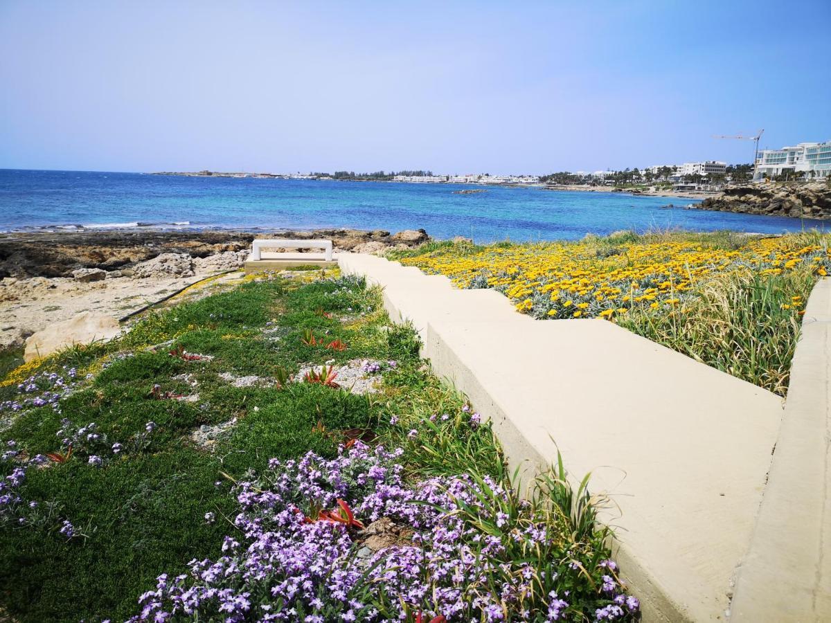 Tedy'S Townhouse-Margarita Gardens Villa Paphos Buitenkant foto